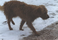 � � ������ �� �����!