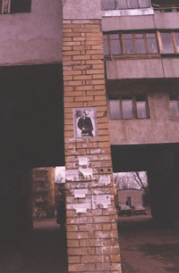 ������ ������