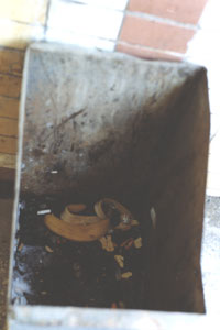 ������������ ������ ������� ���������