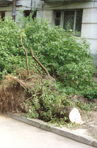 �������� �� �� ��