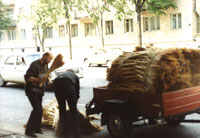 ����� ����� ������