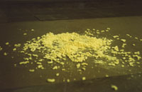 ����� ������