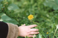 �������� ������