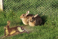 ������. ������ : ������ �����.