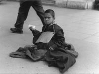 �����. ���� : ������ ������.