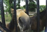 �������. ���� : �i���� ������.